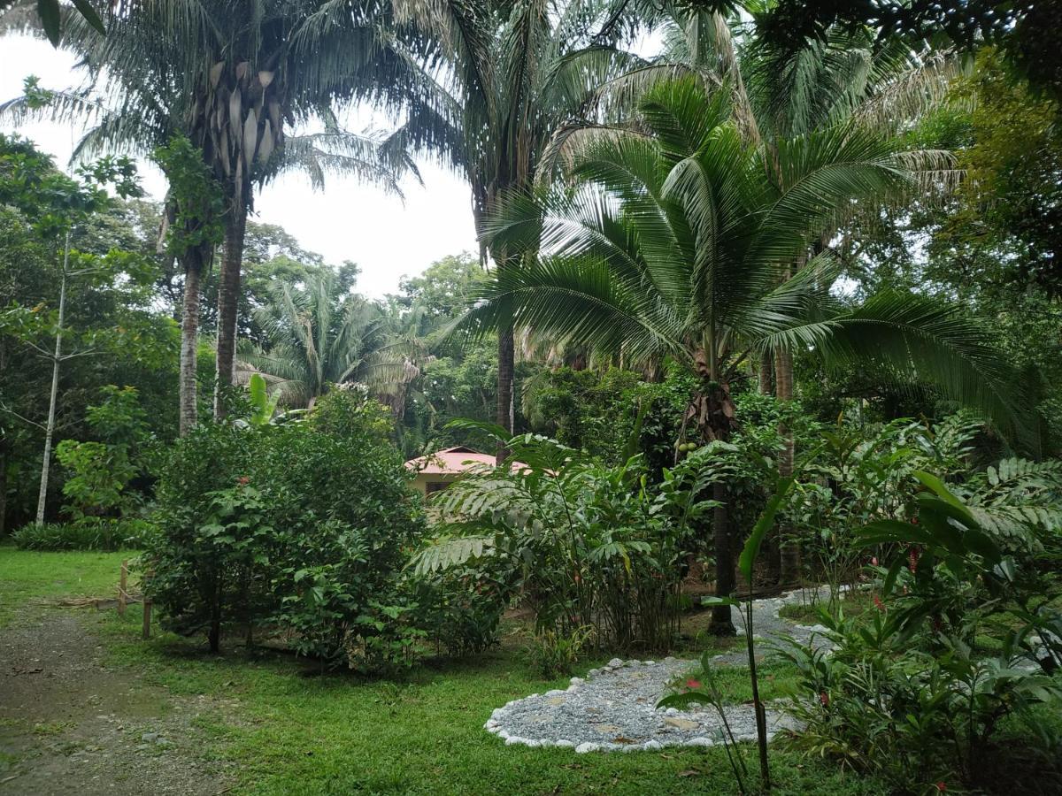 Four Monkeys Eco Lodge Jungle & Beach - The House Cabo Matapalo Zewnętrze zdjęcie