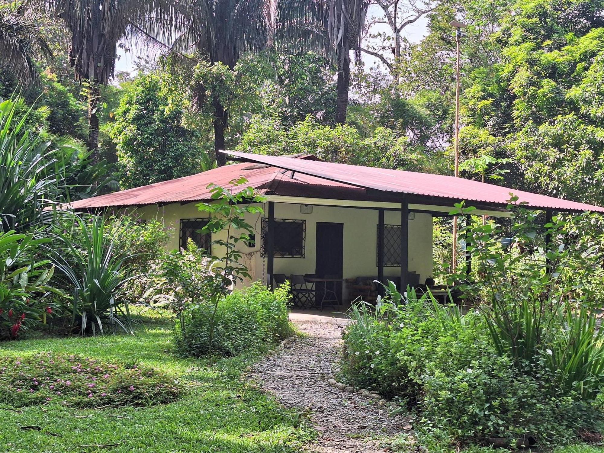 Four Monkeys Eco Lodge Jungle & Beach - The House Cabo Matapalo Zewnętrze zdjęcie
